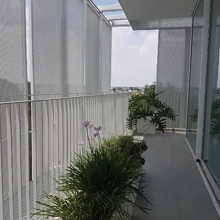 Loft With A Spectacular View